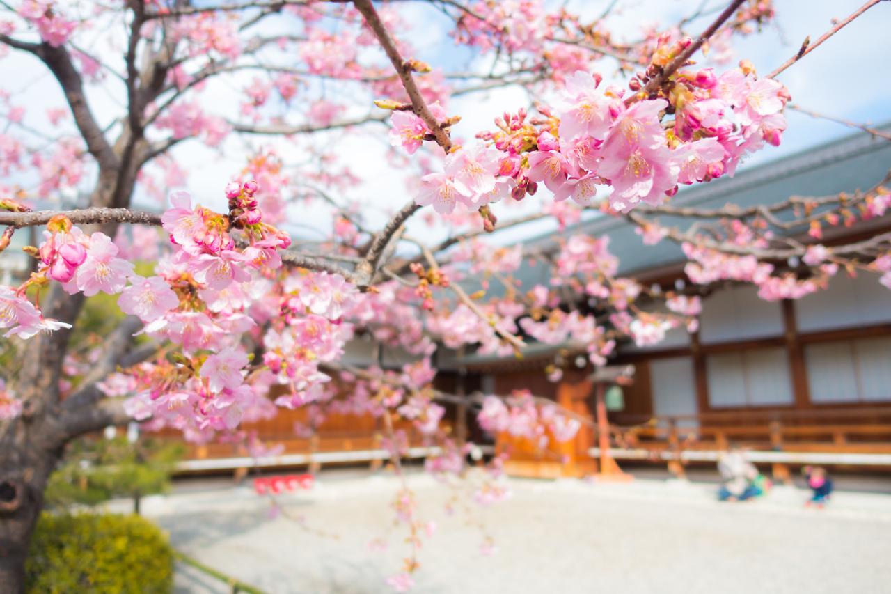 公寓式酒店 Sakura 四条烏丸 3*