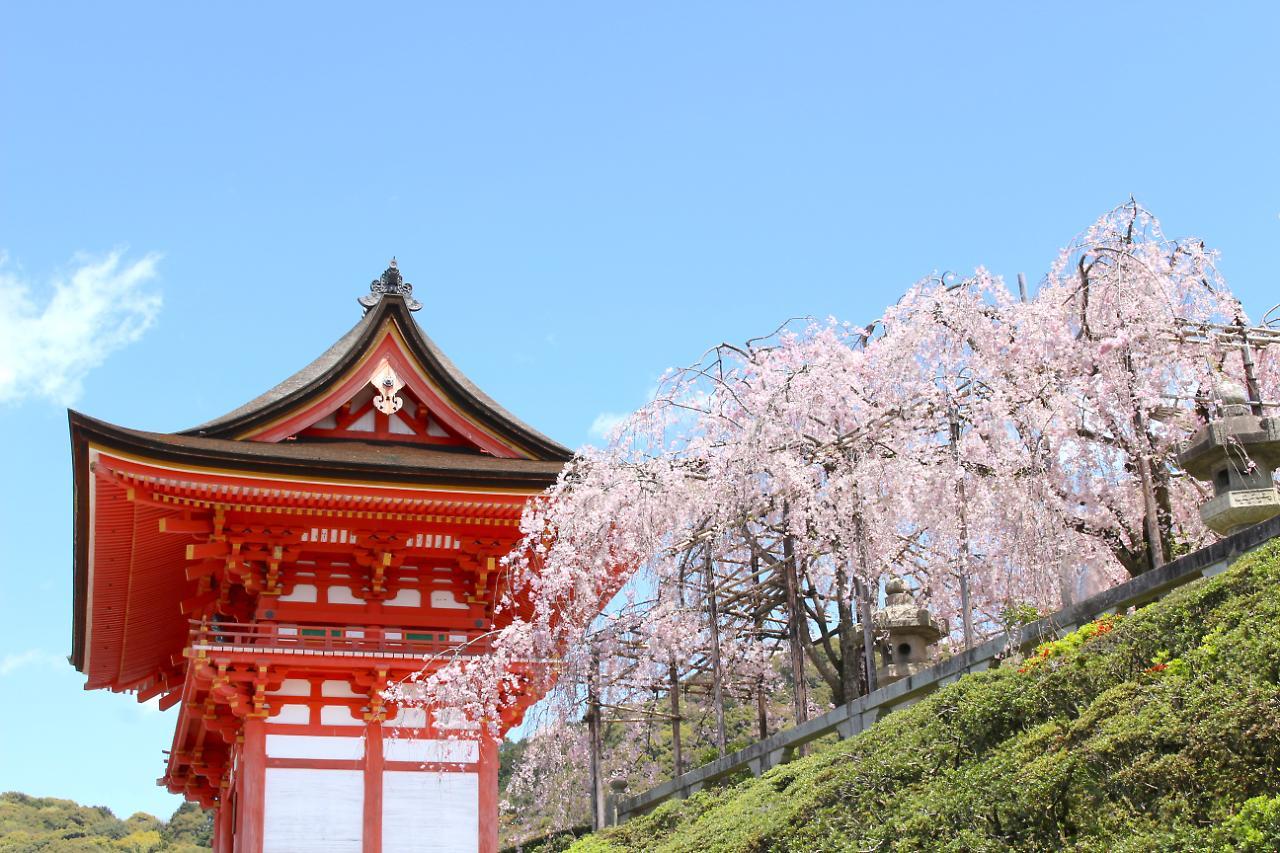 公寓式酒店 Sakura 四条烏丸