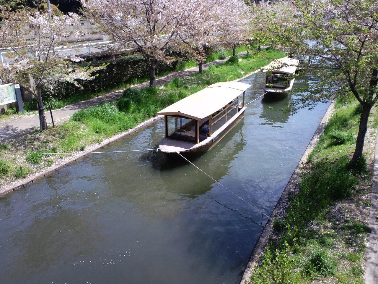 Sakura 四条烏丸 京都
